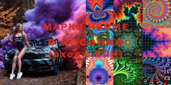шишки Нея