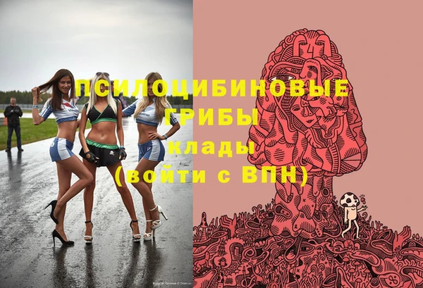 молекула духа Алзамай