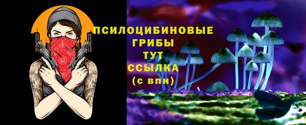 гидропоника Нефтекумск